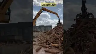 Liebherr LH30 endüstriyel ekskavatör tomruk elleçleme (izmir) #liebherr #wood #orman