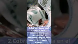 ¿Si tengo deudas puedo salir del país?  #dinero #deudas  #finanzas