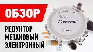 Обзор: Электронный редуктор ГБО Torelli 2 поколения [Метан]