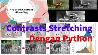 Pengolahan Citra : Penerapan Contrast Stretching pada Citra dengan Python 