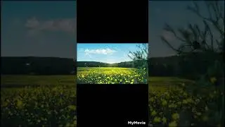 Nature by minutes