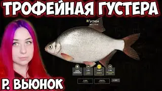 Трофейная густера на р. Вьюнок  Russian Fishing 4 Русская рыбалка 4 RF4 РР4