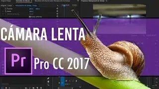 Cámara Lenta (Slow Motion) | Tutorial Adobe Premiere Pro CC 2017