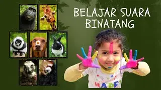 Belajar dan mengenal Suara Binatang