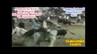 DESTRIPADA A CHOKI POR EL CHILANGO.