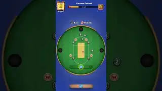Carrom cricket Table 