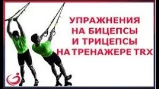 Тренажер TRX. Упражнения на бицепсы и трицепсы на тренажере ТRX!