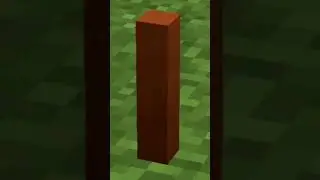 это морковная палочка, а это… #морковнаяпалка #ютуб #minecraft #майнкрафт #mem #рекомендации #shorts