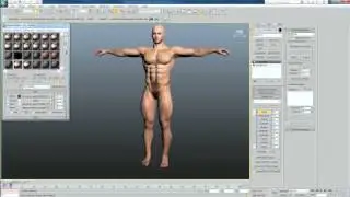 Body morph+normalmap for Mount&Blade