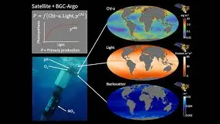 Bob Brewin: Channelling energy to ecosystems and sequestering atmospheric CO2: seeing plankton...