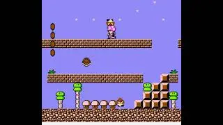 The Lost Mario Bros 2 God Mode (Super Mario Bros. 2 Hack)