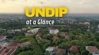 UNDIP at A Glance 2024