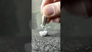 🧄GARLIC 🧄 What is this?