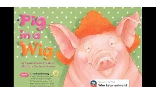Pig in a Wig  - Grade 1 RS1.3