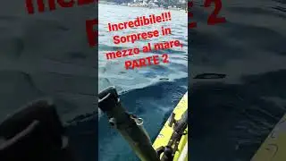 Sorprese in mezzo al mare, parte 2... incredibile!!! 