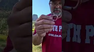 Every Day Carry - Bear Spray