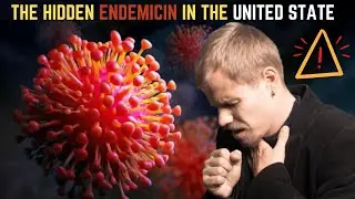 Human Metapneumovirus (HMPV) | The Silent Viral Outbreak in the US 2025.