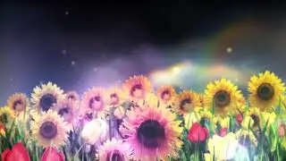 Edius Avi flower 2022// Edius Avi W.S Productiong Studio.
