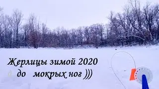 Жерлицы зимой 2020 до мокрых ног )))
