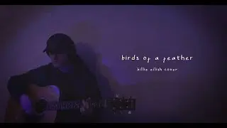 Billie Eilish - Birds Of A Feather (Cover by NERDIE)