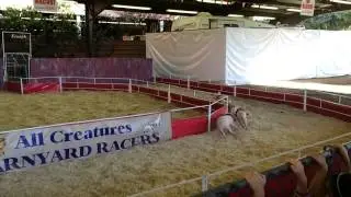 LA County Fair