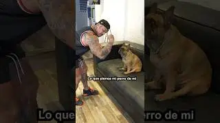 LO QUE PIENSA MI PERRO 🐕 DE MI‼️#shots