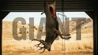 My Wife KILLED A GIANT 32 Weeks Pregnant! Muley Freak | 4K FILM