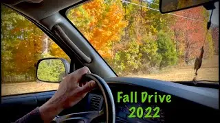 ASMR Fall Drive 2022 (No talking) You are a child being driven around in fall weather & foliage!