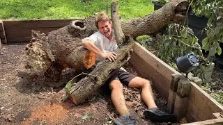 MASSIVE TREE FELL ON MY ANIMALS !
