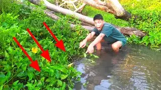 SEBELUM MATAHARI TERBIT AKU SEGERA KE SUNGAI