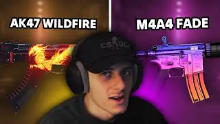 ALL LEAKED CS OPERATION SKINS!