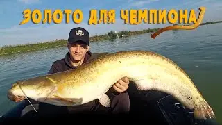 Золотой СОМ на КВОК. Влад поймал необычного сома 😎🥇