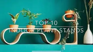 Top 10 Best Indoor Plant Stands-DIY