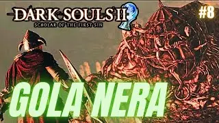 🏆GUIDA PLATINO 🎮DARK SOULS 2 SOTFS #8 ▶️TORRE DEI SANTI, SCOLO E GOLA NERA