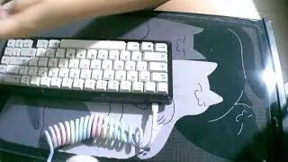 Lubed Gateron Milky Browns - Modded MW65