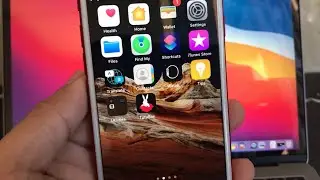 Install TutuBox Lodging (Signed) iOS 14.2 on Screen iPhone iPad without jailbreak