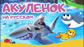 Акуленок на русском.