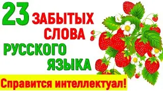 23 ЗАБЫТЫХ СЛОВА РУССКОГО ЯЗЫКА! ТЕСТ ДЛЯ НАСТОЯЩЕГО ИНТЕЛЛЕКТУАЛА! 