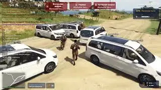 обезьяны