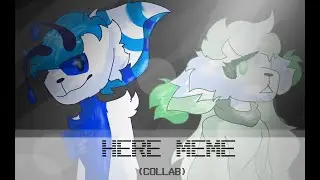 HERE / MEME / COLLAB WITH OCEAN VIEWS
