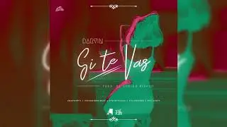 Darvin - Si Te Vas [Audio]