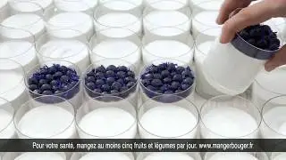 Danone Yaourt - Le nouveau Danone 1919 !