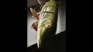 giant pike swimbait speed run build.