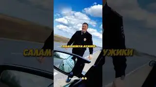 Литвина ПЕРЕХВАТИЛИ ДПСНИКИ ДЛЯ ФОТО 