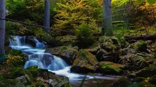the world's| most beautiful river | 4k video river #09|intertainmant of the nature