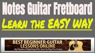 How To Easily Memorize All the Notes on the Guitar Fretboard - Adult Guitar Lessons