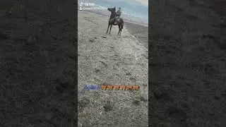 9 февраля 2021 г.