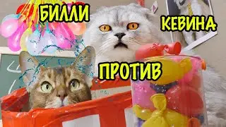 БИТВА ВОДНЫМИ БОМБОЧКАМИ В КАРТОННОЙ ШКОЛЕ