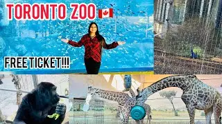 TORONTO ZOO TOUR | PART1 |🇨🇦 TRAVEL DIARIES |  CANADA’s LARGEST ZOOO 🐅 🦒 🦚| FREE TICKET | CANOO