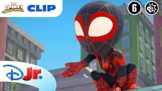🍅 Oh Nee, Tomaten! | Spidey en zijn Geweldige Vriendjes | Disney Junior BE